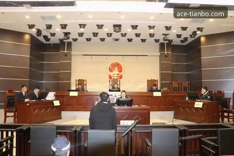 资深用户剖析：从“金元足球”到庭审现场，一次深度观察的技术视角