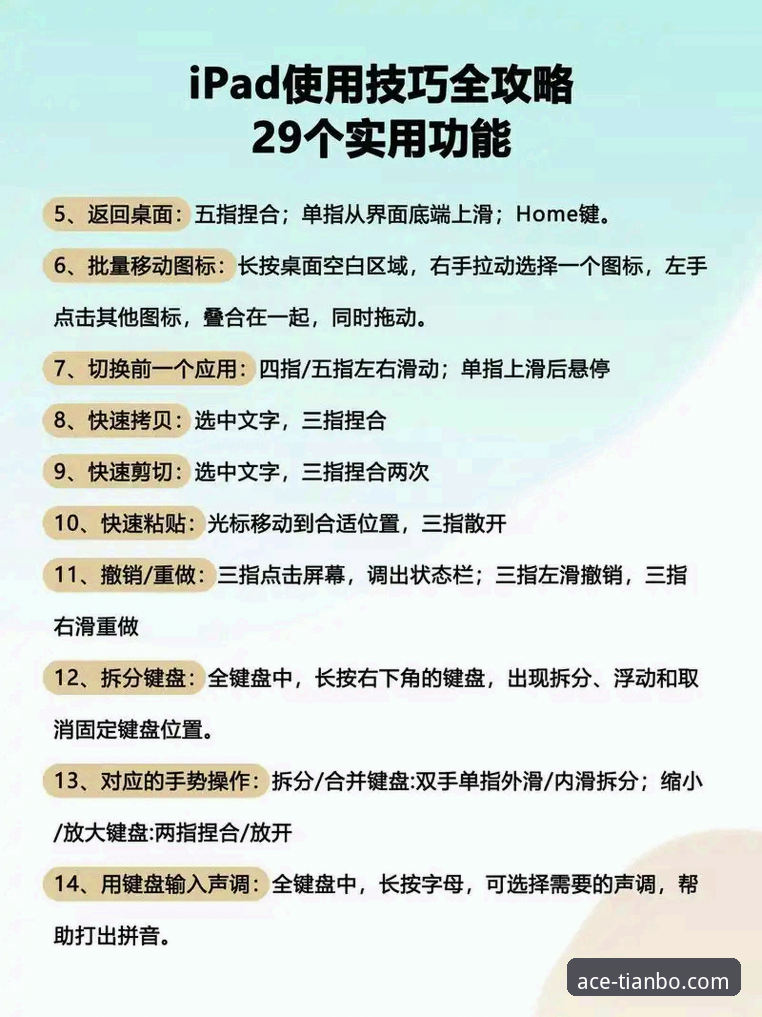 天博体育平台使用全流程深度解析：从入门到精通的操作指南
