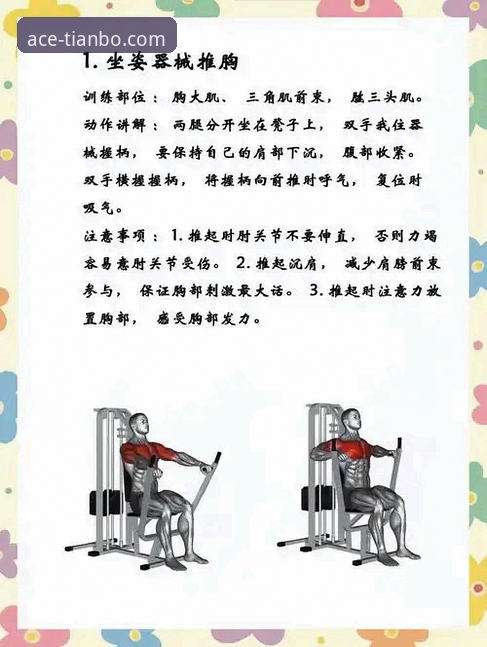 天博体育平台稳定性评测与使用教程：新手必看操作指南