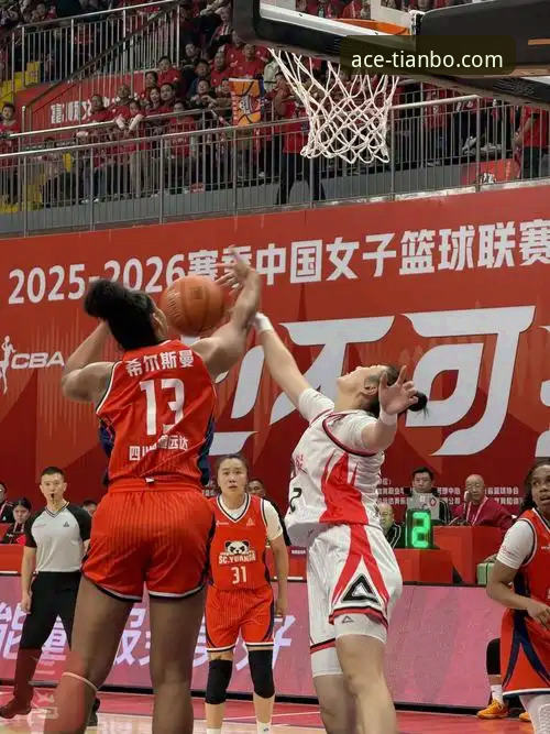 揭秘四川女篮总决赛大胜背后的战术与数据，如何通过专业平台洞察赛场真相